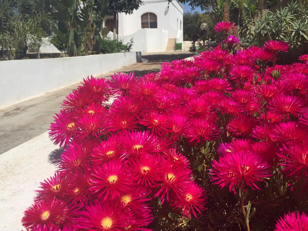 Mare Relax Villa ลิโด มารีนี ภายนอก รูปภาพ